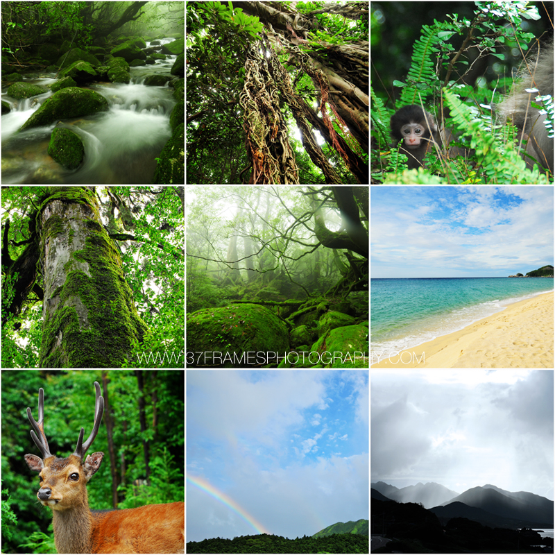 Yakushima