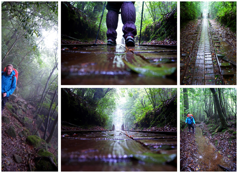 Yakushima - The Trekking Starts
