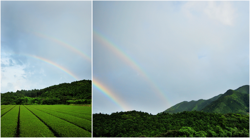 Rainbow