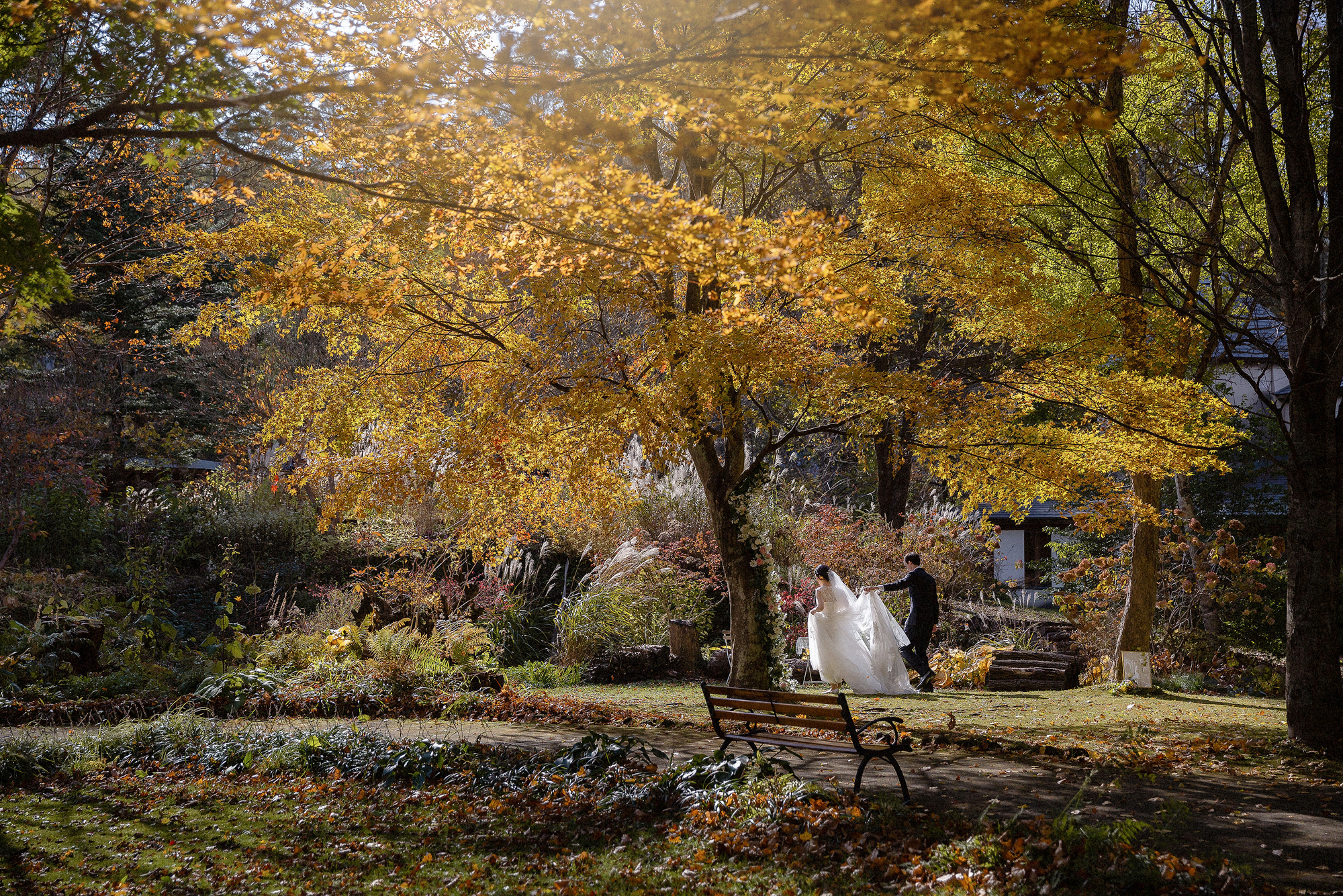 Autumn Elopement in Karuizawa