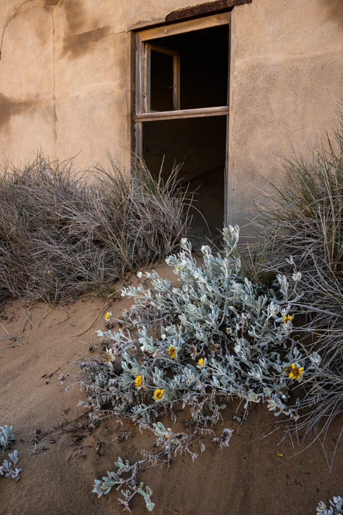 Sand dunes pushing against decaying doors and walls in an abandoned home.