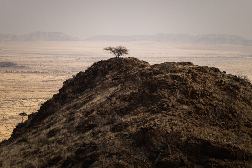 Golden-hour light and shadows dancing over rocky mountain ridges.