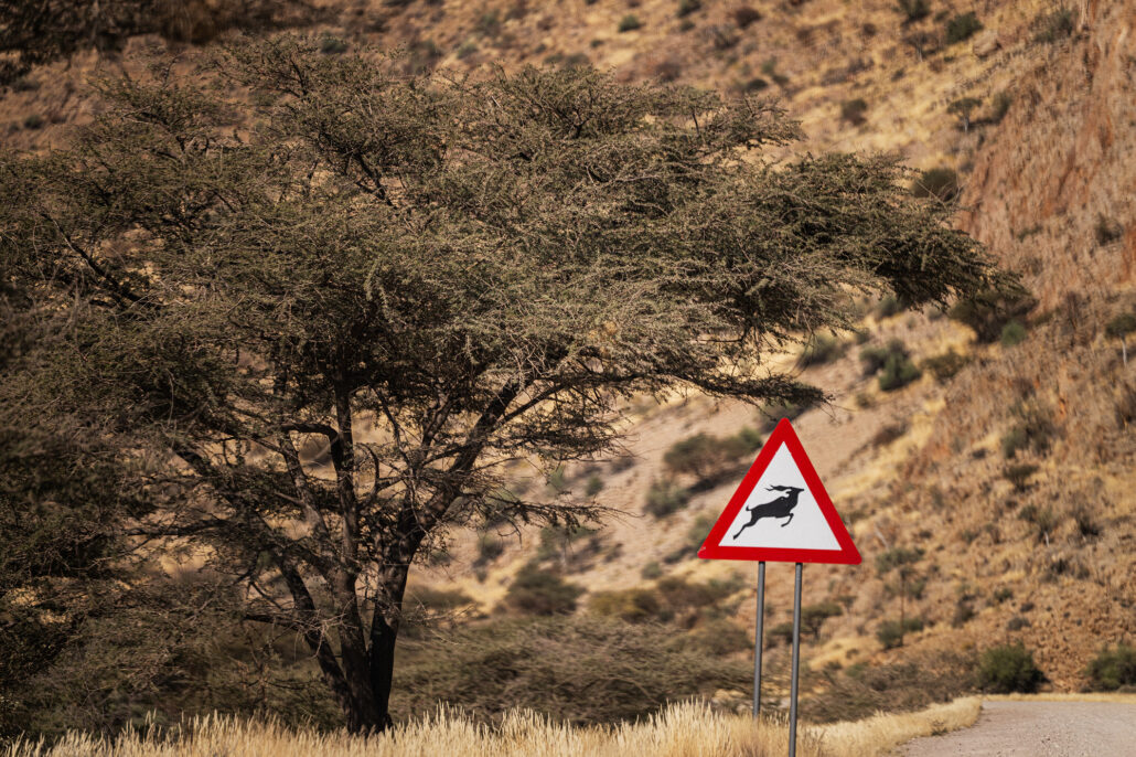 Dust cloud rising behind the car as it drives through the Namibian desert.