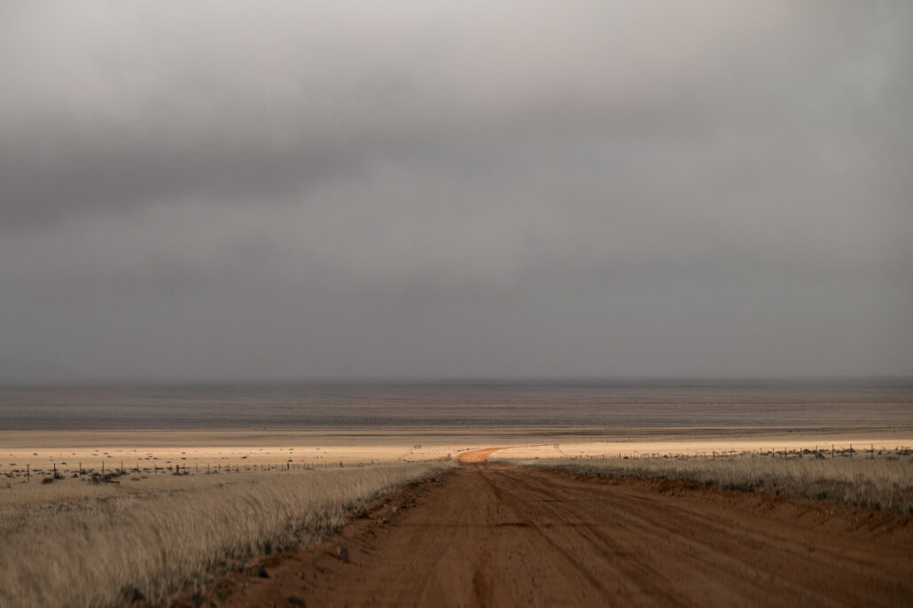 Panoramic view of Namibia’s desert wilderness from the heart of D707 - no signs, no traffic, pure stillness.