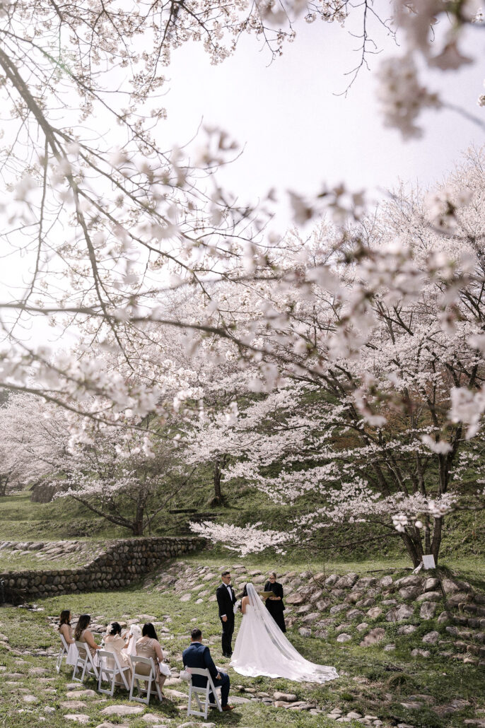 The intimate wedding ceremony under cherry trees in bloom, a few guests on white chairs watching the couple on the grass in Nagano.