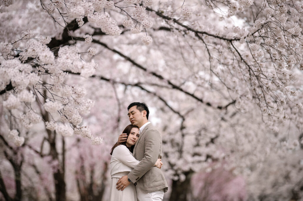 Destination wedding photography in Japan with cherry blossoms at Hirosaki Castle