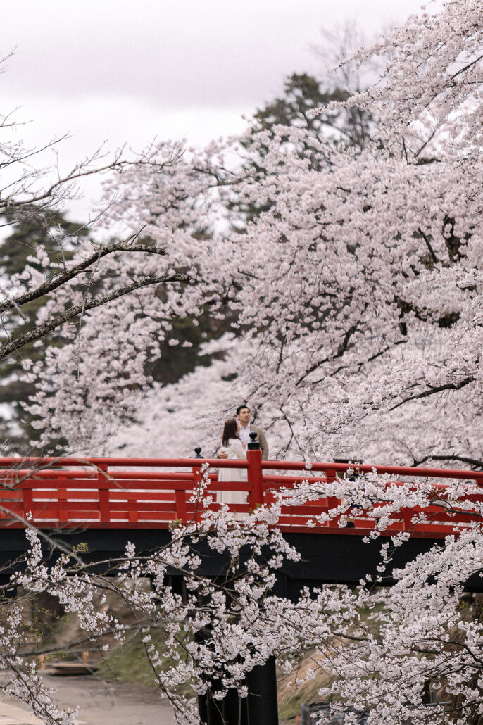 Elopement-style cherry blossom photoshoot in Japan’s most iconic sakura location