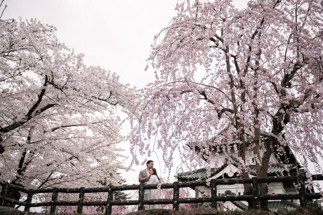 Couple walking under cherry blossoms at Hirosaki Castle during post-wedding shoot in Japan