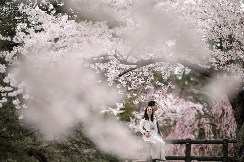 Bride and groom embracing under sakura trees in Hirosaki Park with cherry blossoms in full bloom