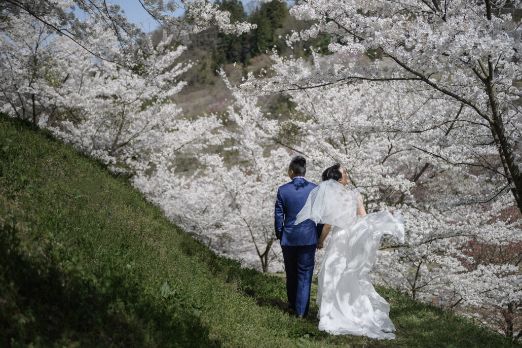 A wedding under cherry blossom trees in Nagano, Japan