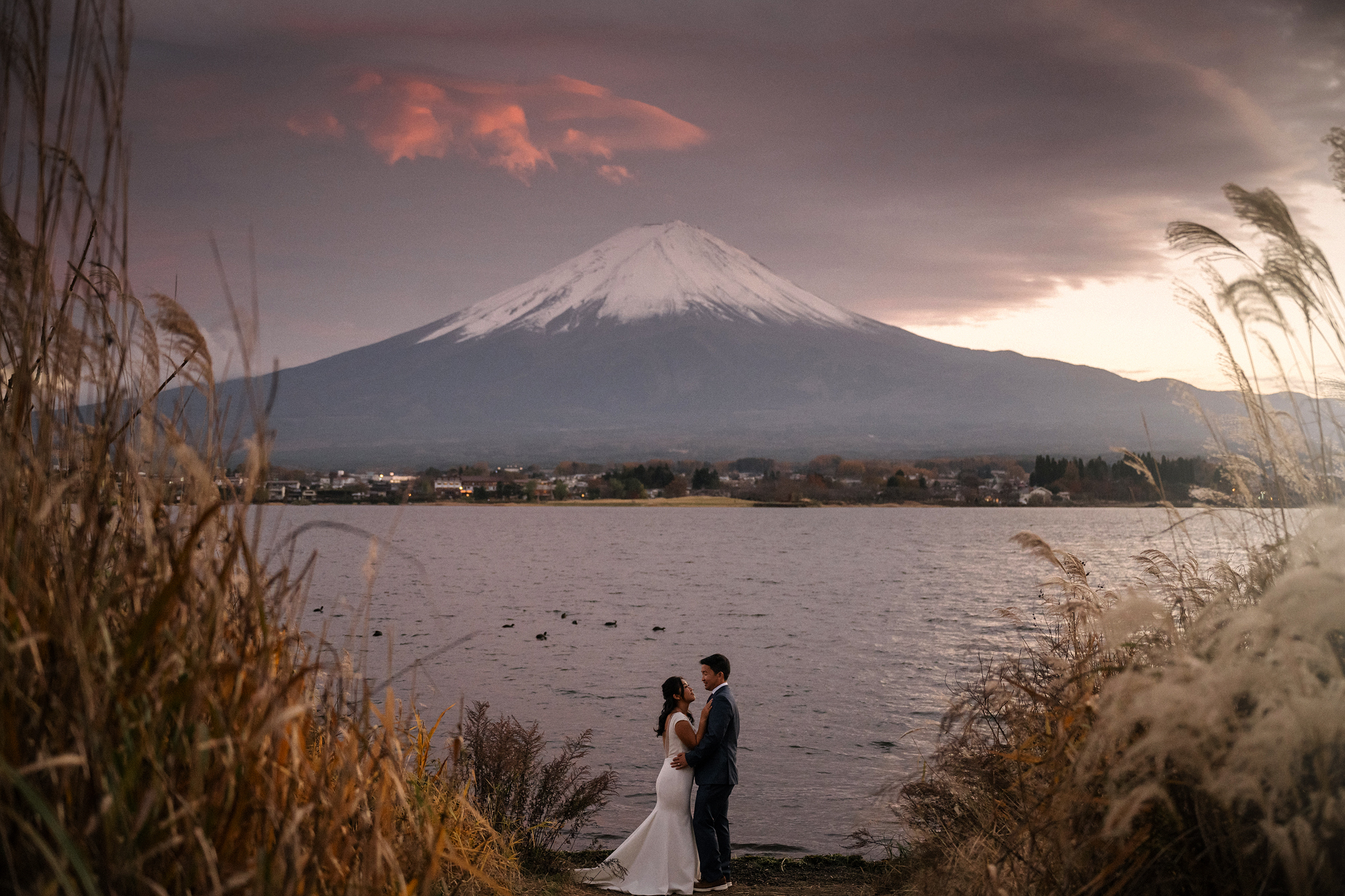 The couple embrace at the edge of the lake framed by pampas grass, Mt Fuji and a pink lit cloud behind them on their Mt Fuji wedding day.
