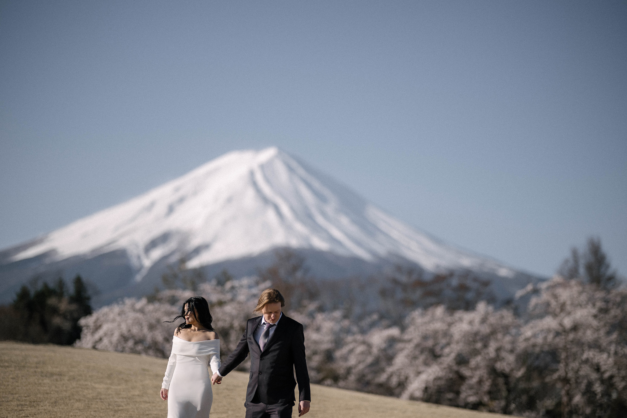 The couple walk hand in hand in front of cherry trees in bloom with snow capped Mt Fuji behind, on their spring pre-wedding shoot.