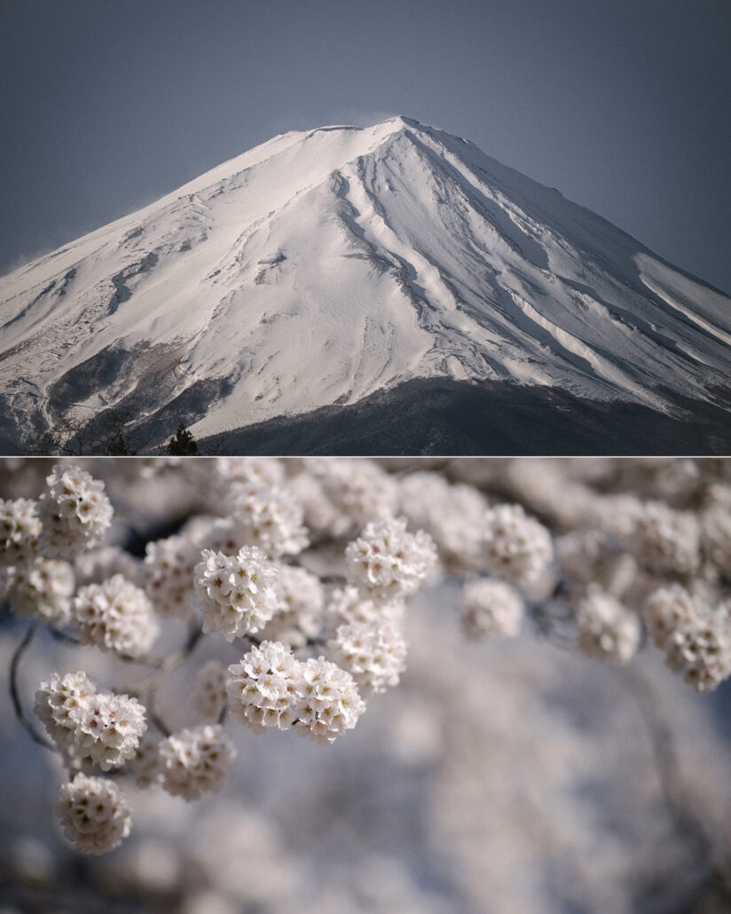 Mt Fuji wedding photography