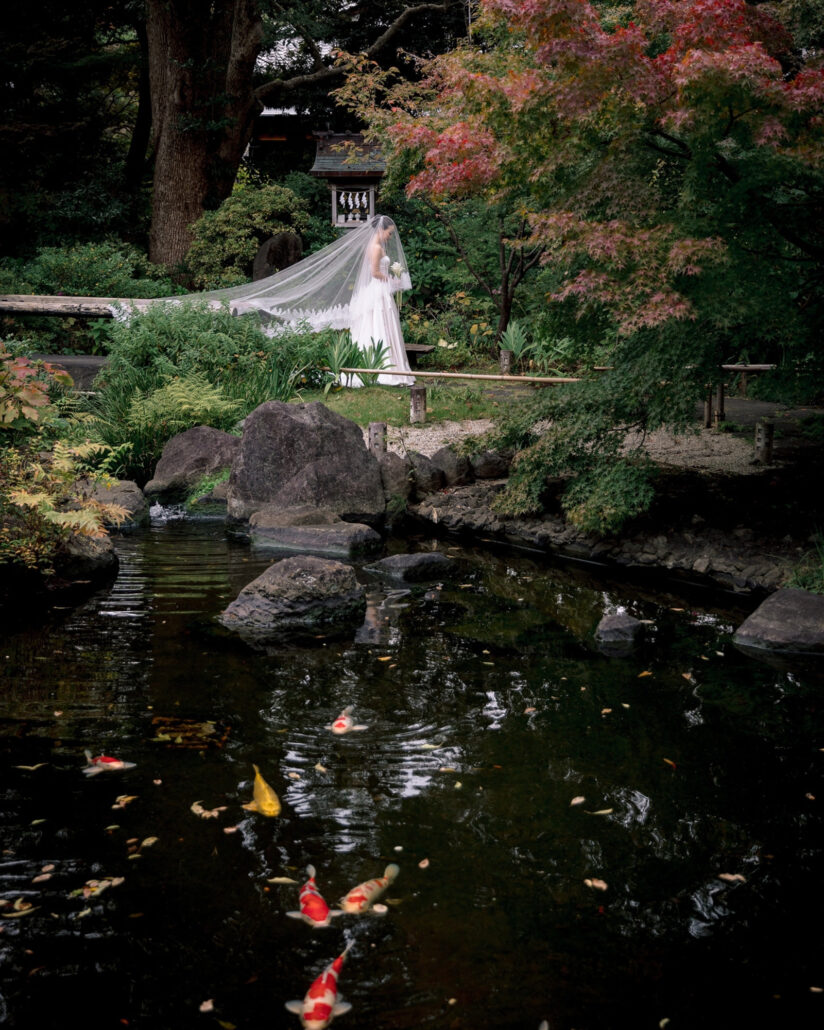 The bride's long veil trails across the garden above a koi pond under red and green maples at Jinya Ryokan in Hadano.