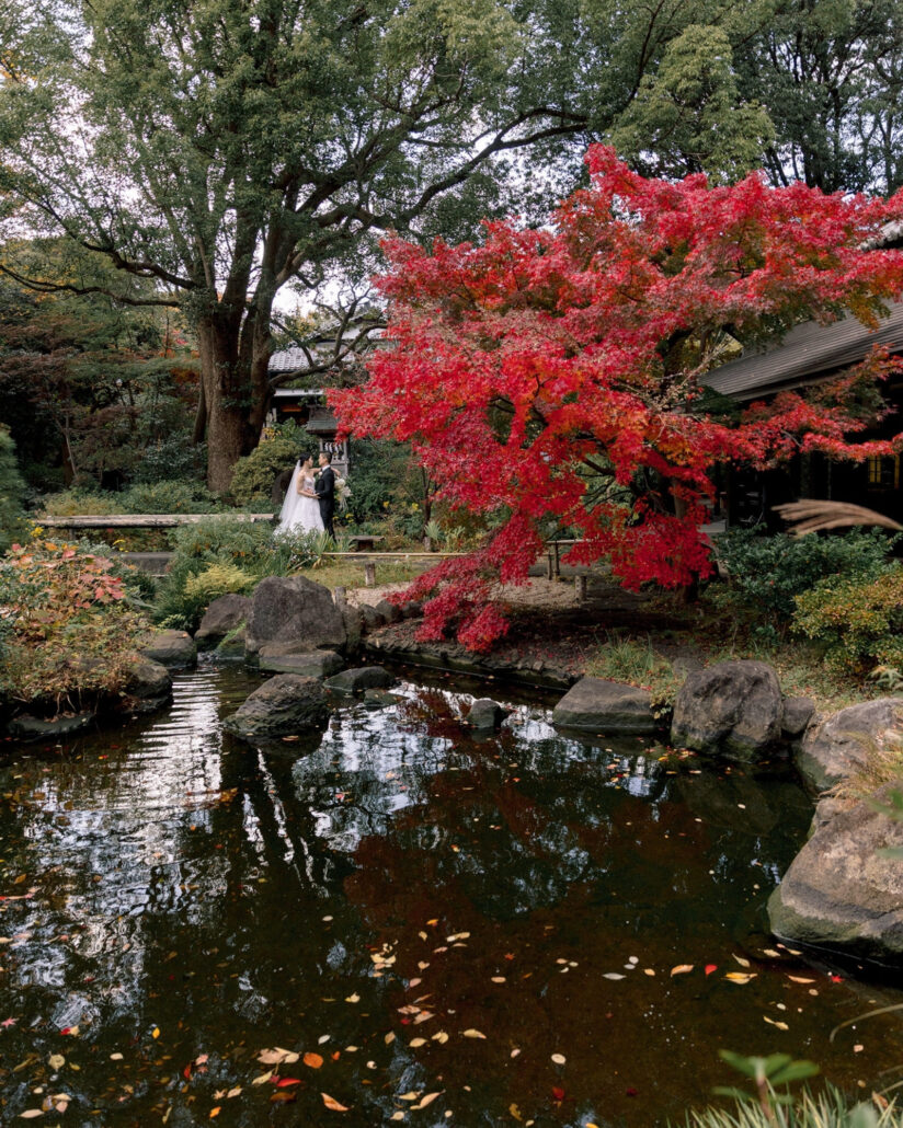 The couple stand small on the far side of a still pond scattered with fallen leaves, a red maple beside them, at their autumn ryokan wedding in Japan.