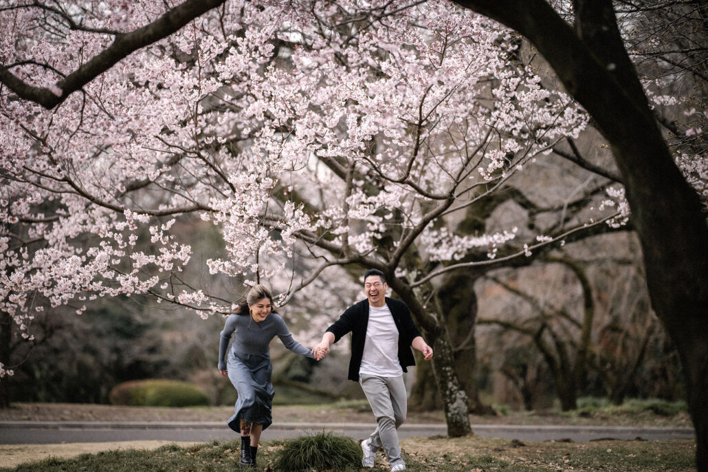 The couple run hand in hand and laugh beneath a pink cherry tree in full bloom, she in a grey knit dress, on a cherry blossom couple photoshoot in Japan.