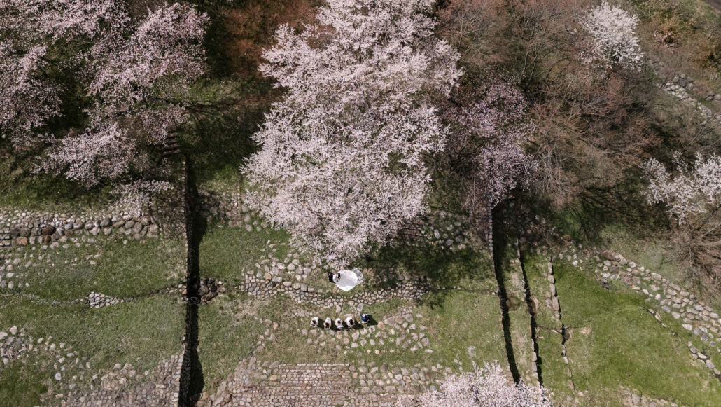 A drone view of the bride and groom beneath a cherry tree in full bloom, five guests on white chairs on the stone terraces below, at a micro wedding in Nagano.