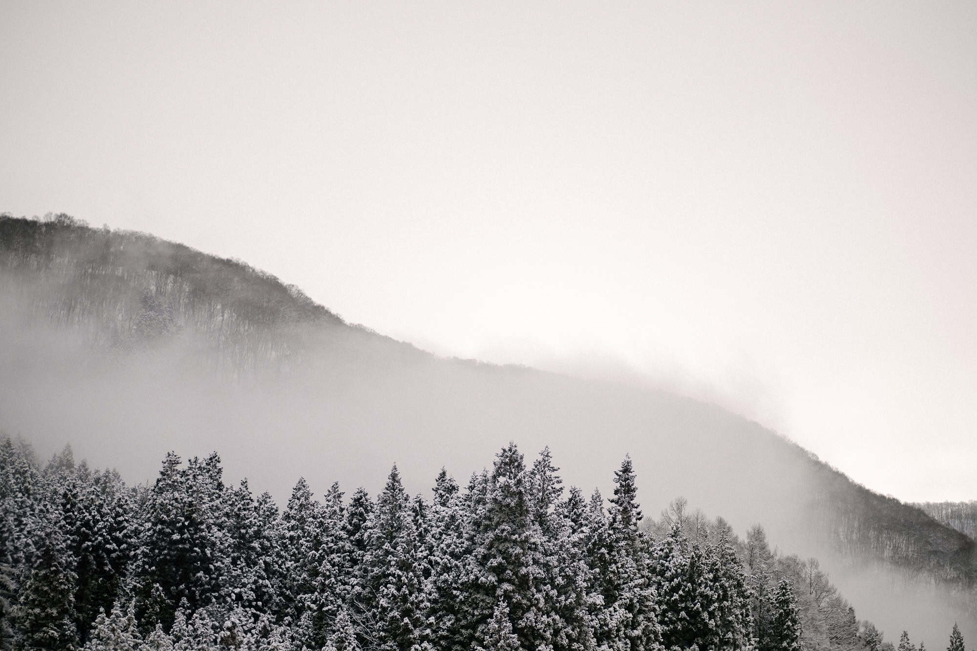 Low cloud drifts over a wooded ridge above Nozawa Onsen, cedars heavy with fresh snow, on the first morning of a winter wedding in Japan.