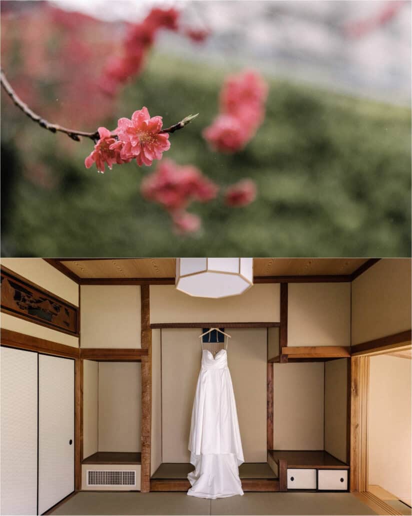 Pink blossom wet with rain on a branch in Izu, and the wedding dress hanging in a tatami alcove under a paper ceiling lamp at Asaba ryokan.