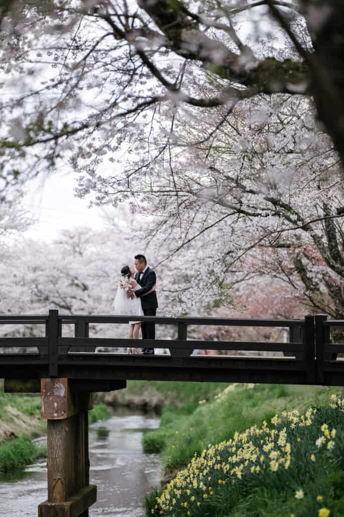 The bride and groom kiss on a wooden footbridge in cherry blossom season at Mt Fuji, her bouquet in hand and daffodils on the bank below.