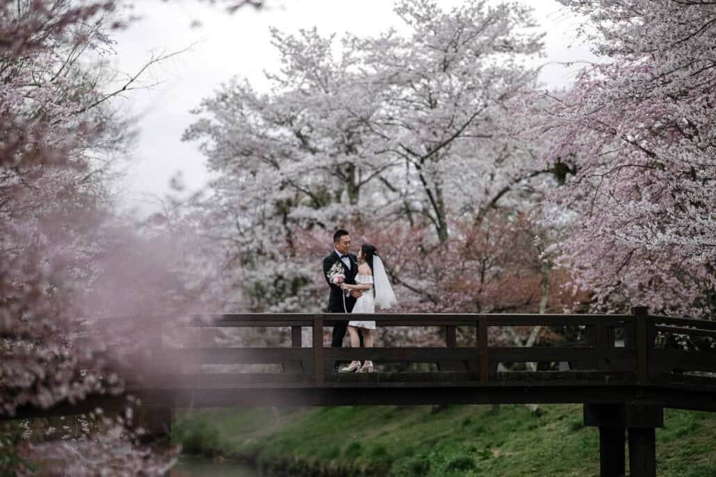 Seen through soft pink blossom, the bride and groom face each other on a wooden footbridge, cherry trees in full bloom all around them.