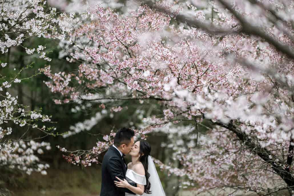 The bride and groom kiss beneath a low branch of pink cherry blossom, her long dark hair falling loose over her veil and white dress.