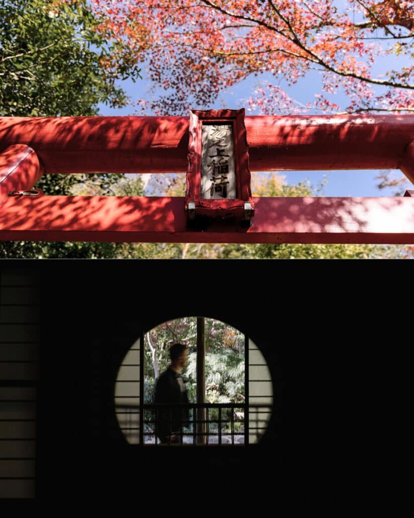 Komorebi through red maple leaves dapples a vermilion torii gate, and the groom walks past a round window at a ryokan in Hadano.