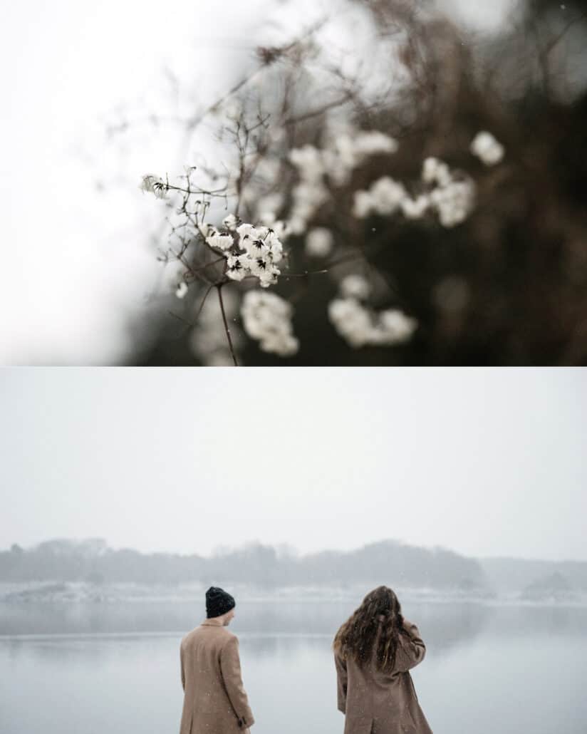 Delicate white clusters on bare twigs in the snowfall, and the couple looking out over a misty lake in the Japanese winter.