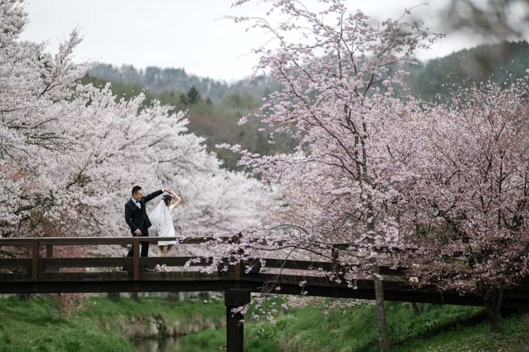 The groom twirls the bride on a wooden footbridge, her veil swinging, as cherry blossom arches over the stream and forested hills rise behind.