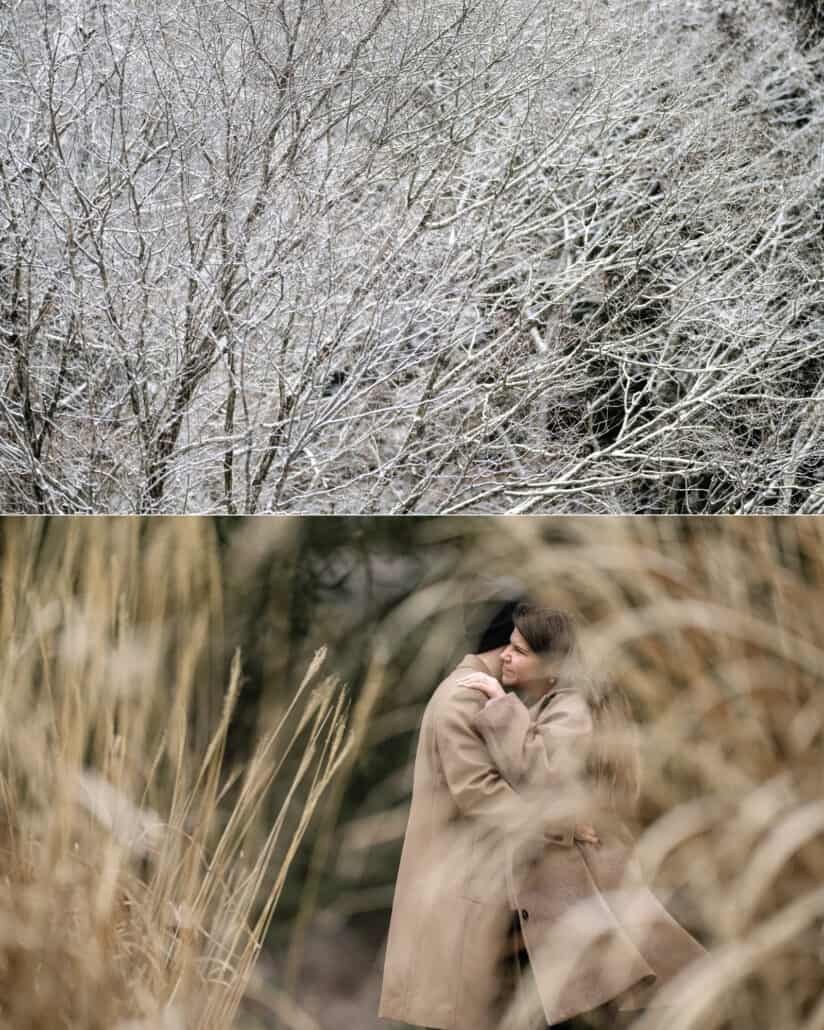 Snow-covered branches in close up, and the couple wrapped in each other in tall golden grass on a winter day in Japan.