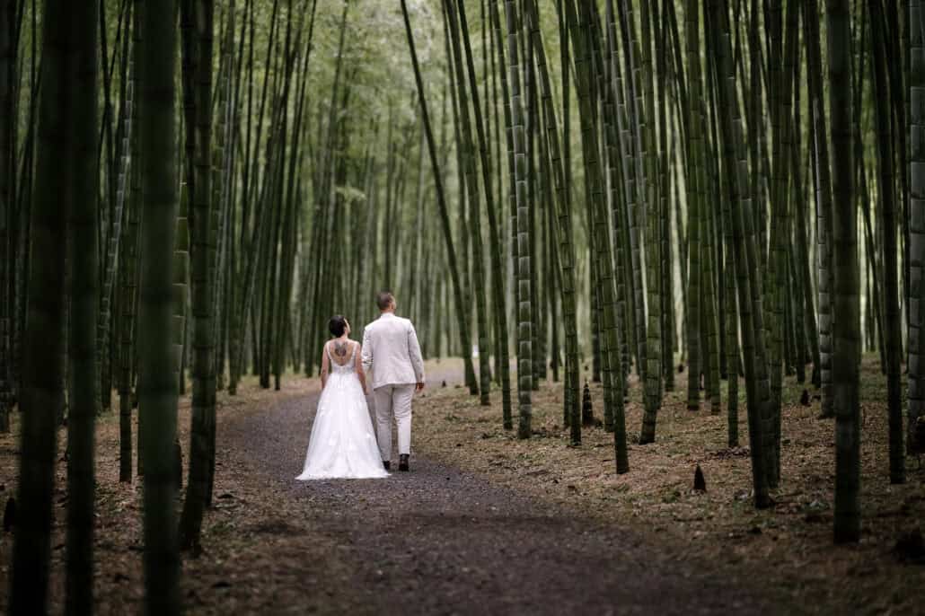 Hand in hand, the bride and groom walk down the avenue of the Utsunomiya bamboo forest, new bamboo shoots rising from the fallen leaves.