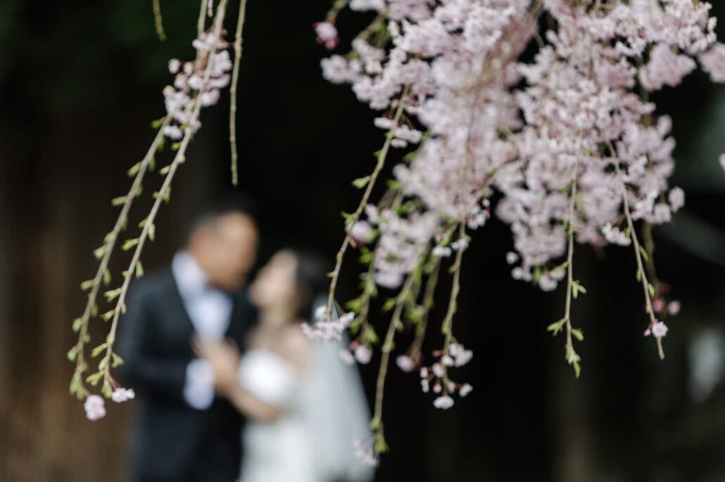 Weeping cherry blossom hangs in sharp focus at Kawaguchi Asama Shrine, while the bride and groom lean close together, soft and blurred behind.