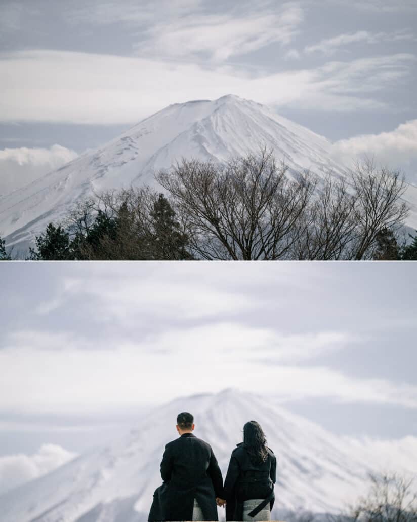 Mount Fuji beyond a line of bare winter trees, and the couple hand in hand with their backs to the camera, taking in the view.