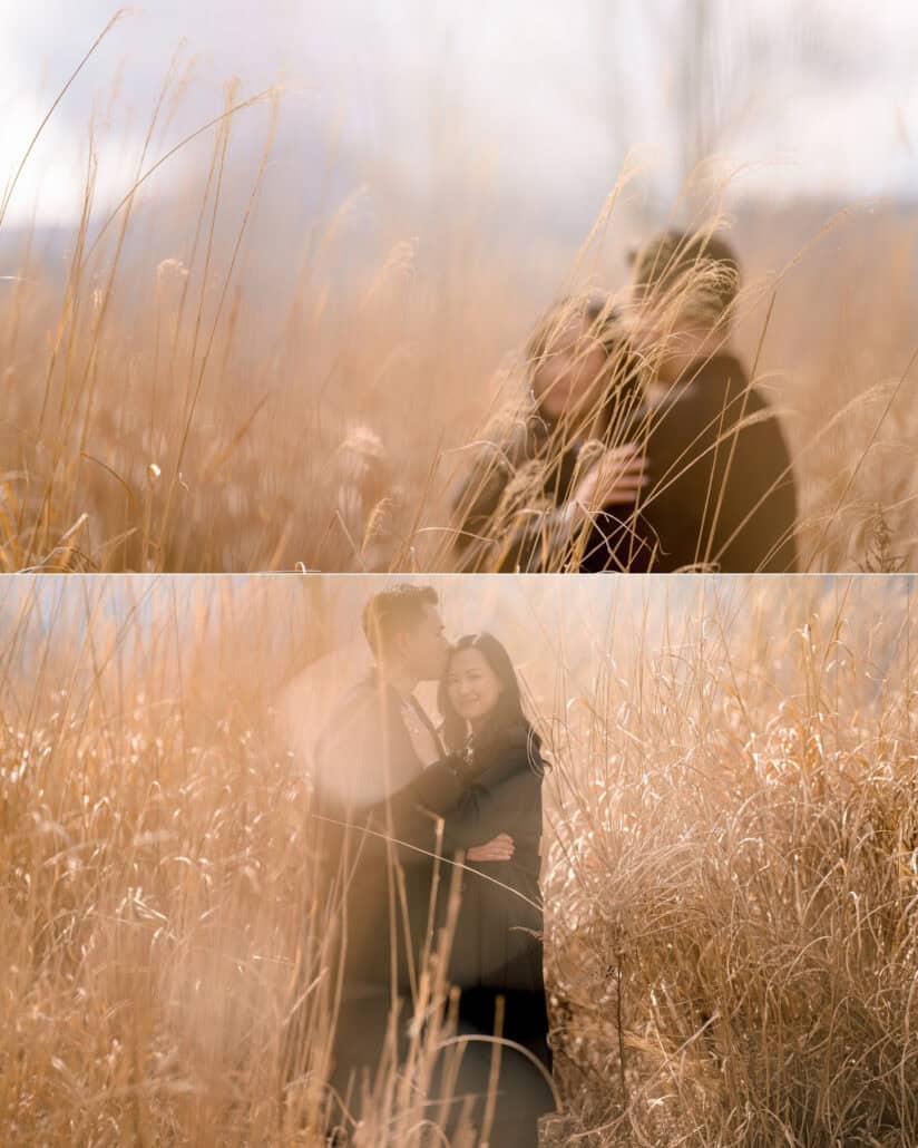 The couple embrace in tall golden grass, seen soft through the stalks, on their engagement day near Mount Fuji.