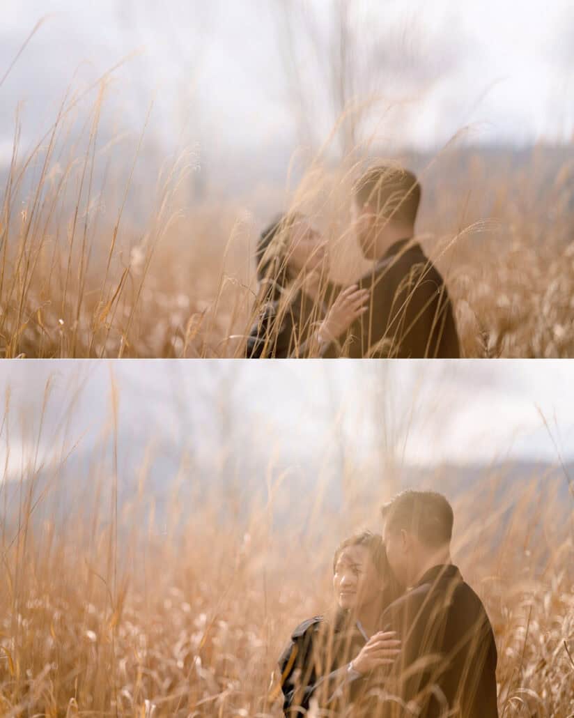The couple laugh together in a field of tall golden grass after a proposal in Japan, seen through the stalks.