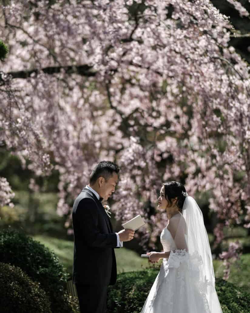 The groom reads a letter to the bride under a weeping cherry in full bloom, both holding cards, in a Japanese garden on their Mt Fuji wedding day.