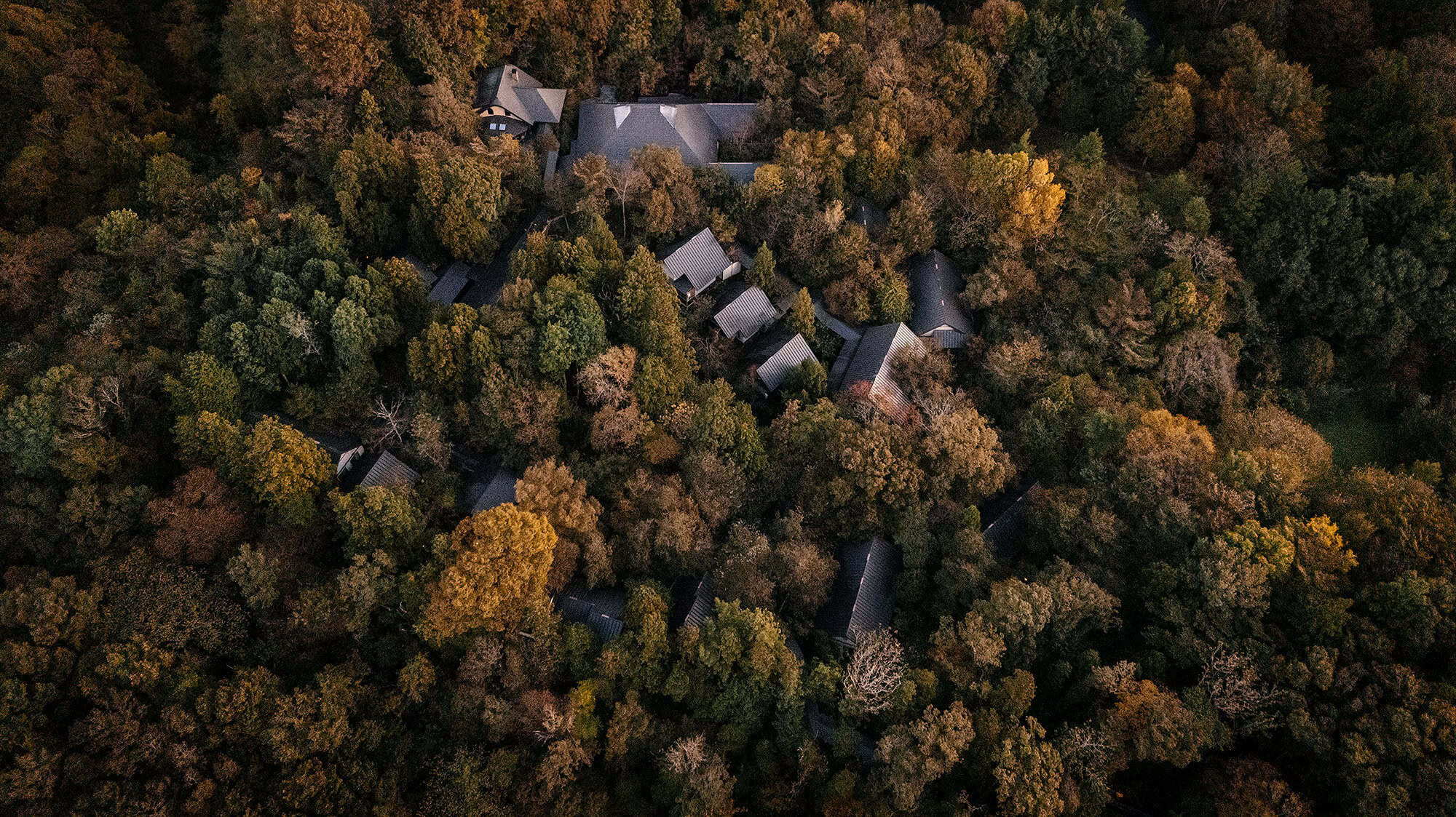 An aerial view of cottage roofs in autumn forest at Togatta Onsen in Miyagi, where guests stayed for a destination wedding in Japan.