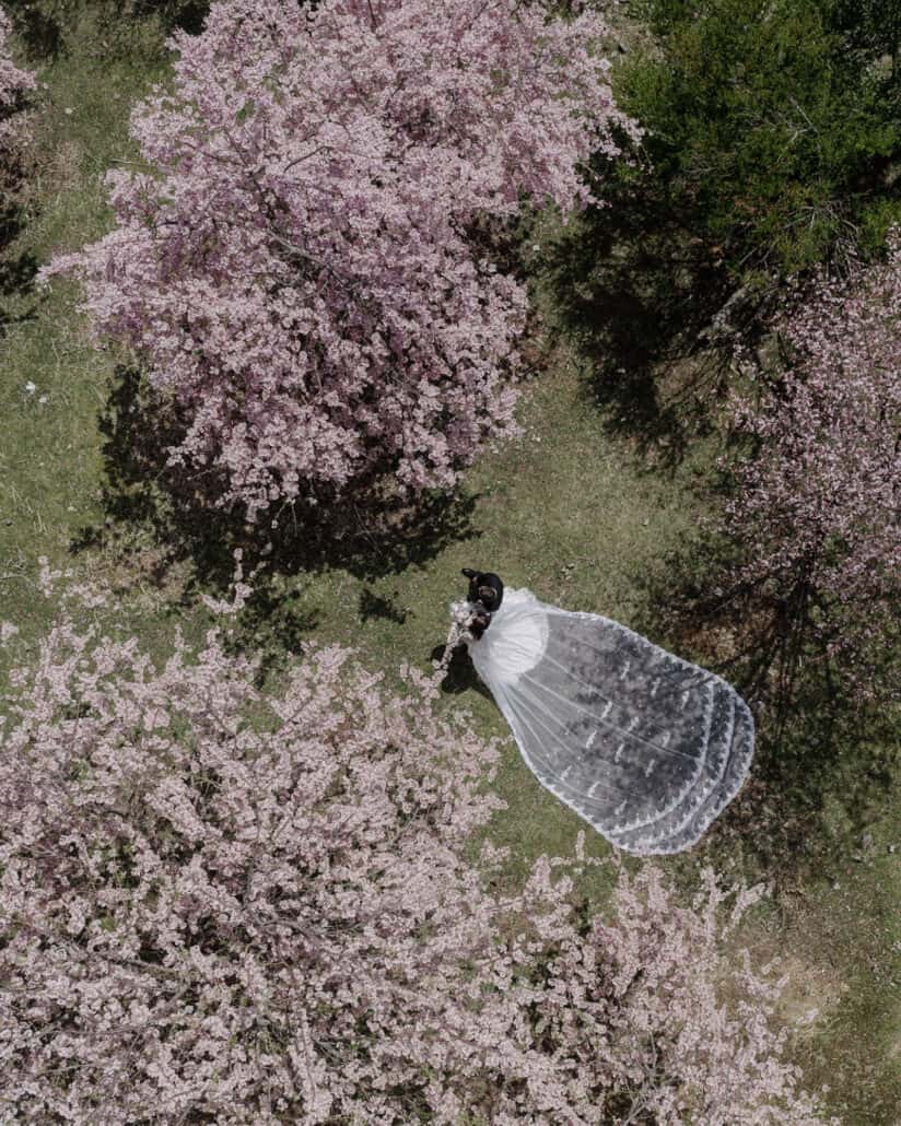 A drone looks straight down on the couple lying in the grass among cherry trees at Lake Shoji, her long veil fanned out across the ground.