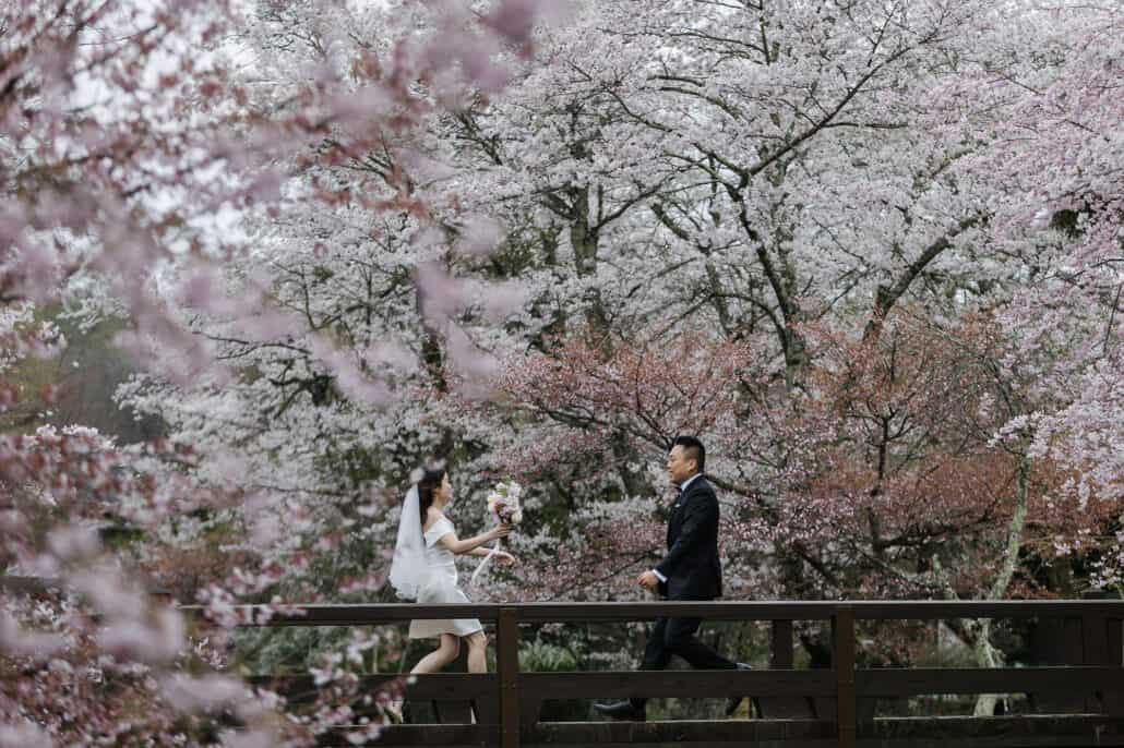 The bride runs across a wooden footbridge toward the groom with her bouquet held out, huge cherry trees in white and pink bloom behind them.