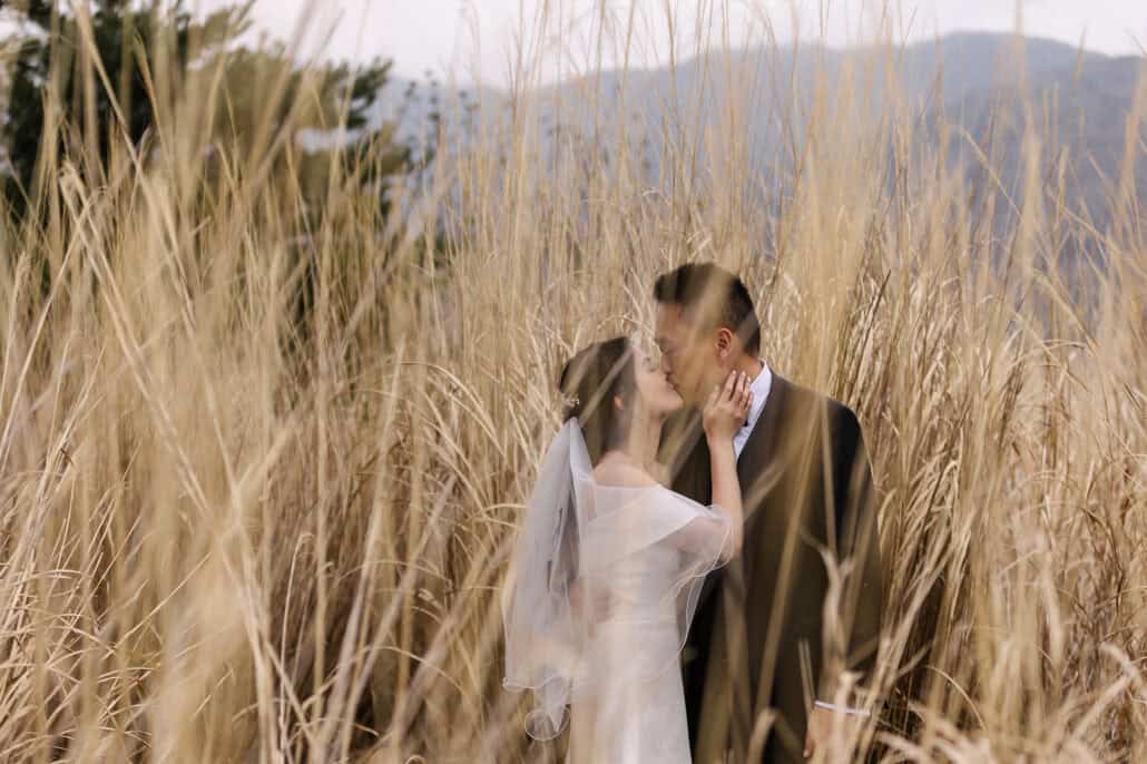 The bride holds the groom's face as they kiss, seen through tall golden grass, a dark hillside and an evergreen tree behind them.
