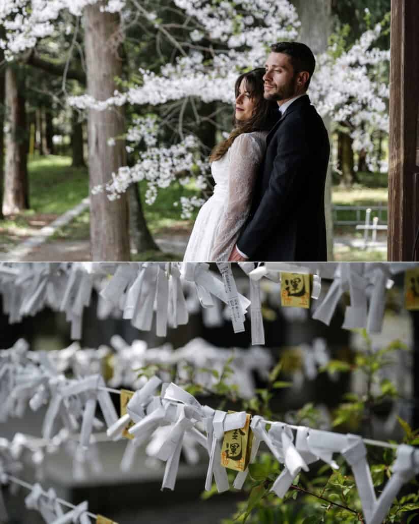 The couple stand close by a tree of white spring blossom among the cedars of a Shinto shrine, and white omikuji fortunes hang tied on lines.