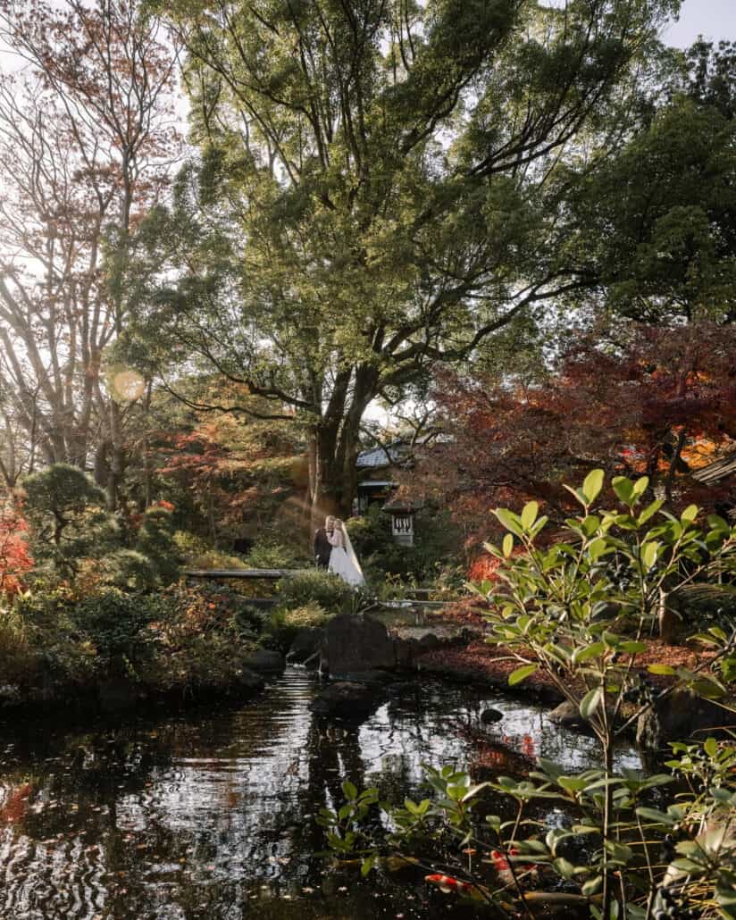 Koi swim in the pond as the couple embrace near a small garden shrine, a wide view of the Japanese garden at a ryokan in Hadano in autumn.