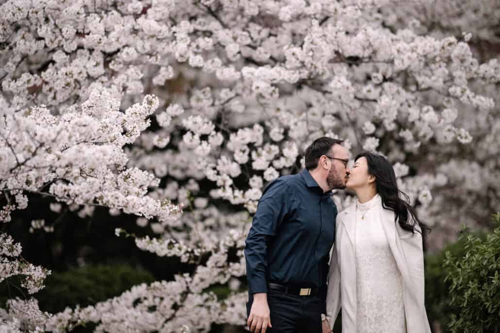 The couple kiss against a wall of white blossoms, he in a navy shirt, she in a cream coat over white lace, on a cherry blossom photoshoot in Tokyo.