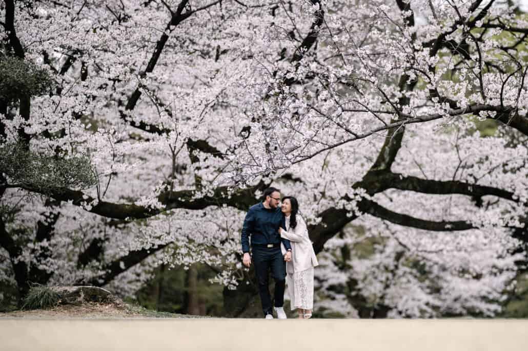 Hand in hand, the couple walk a path under the long, low branches of cherry trees in full bloom on their pre-wedding shoot in Tokyo.