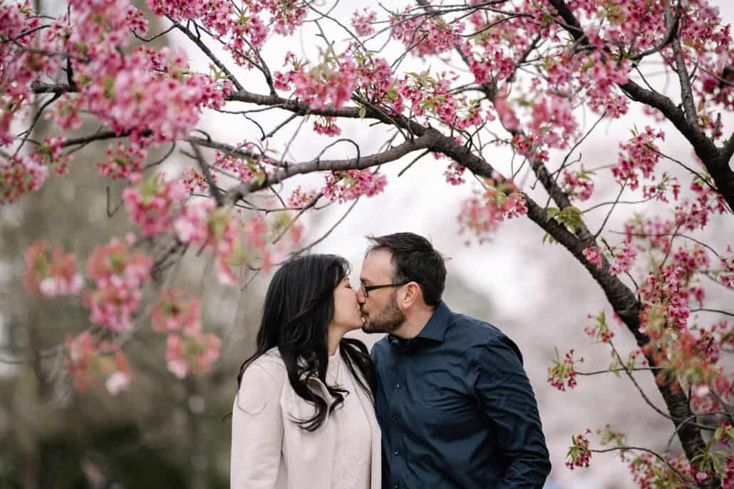 The couple kiss beneath the deep pink branches of a flowering cherry in a Tokyo park, on a spring sakura photoshoot before the wedding.