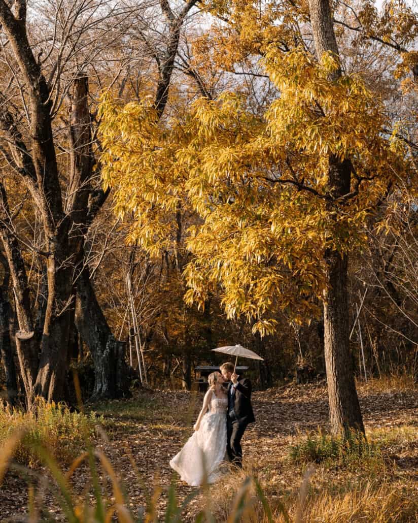 The bride and groom kiss under a white parasol beneath a tree of golden autumn foliage in Japan, fallen leaves covering the woodland floor.