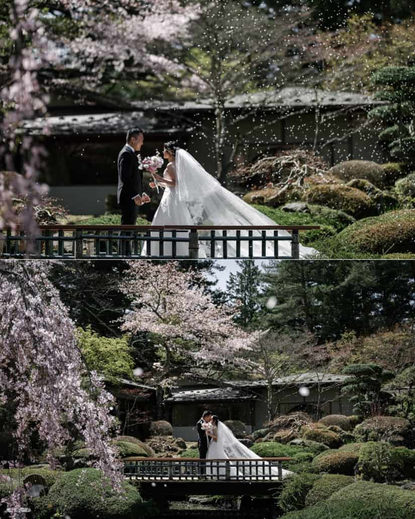 A hanafubuki of cherry petals falls over the bride and groom on a wooden garden bridge as they face each other, then kiss under a weeping cherry.
