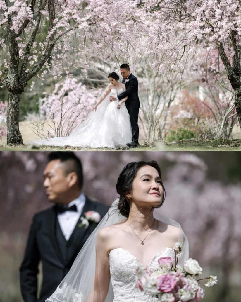 The groom holds the bride from behind under pink cherry trees, then she looks up holding her bouquet as he stands out of focus behind her.