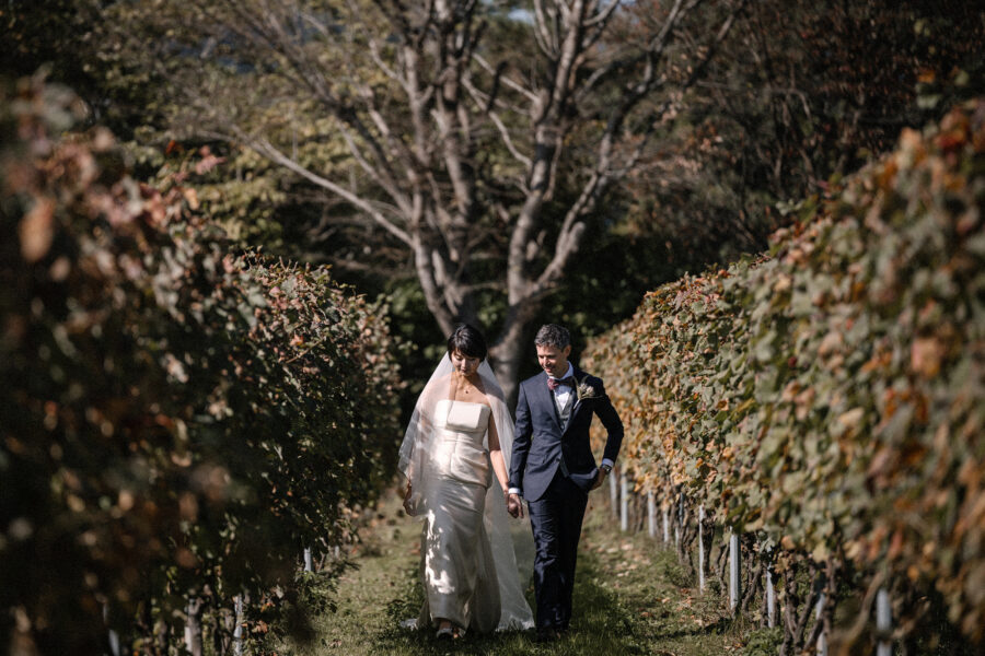The bride and groom walk hand in hand between autumn vine rows at their Akiu Winery wedding near Sendai, a tall bare tree behind them.