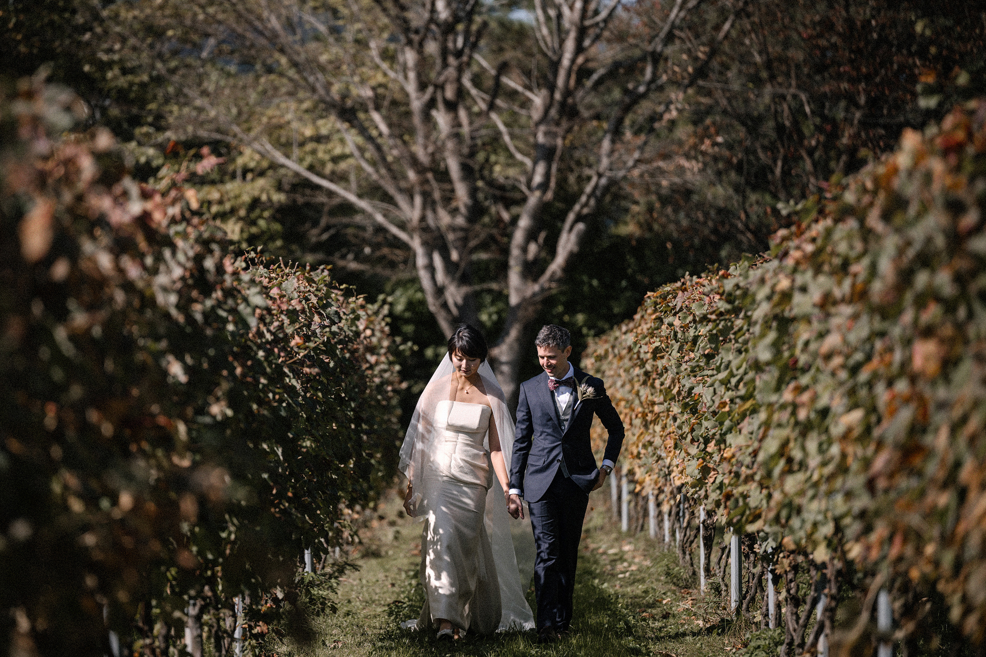 The bride and groom walk hand in hand between autumn vine rows at their Akiu Winery wedding near Sendai, a tall bare tree behind them.